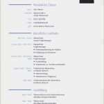 Personaleinsatzplan Vorlage Beste Schön Projektmanagement Dashboard Vorlage Bilder