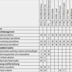 Personaleinsatzplan Vorlage Süß Pm assistant for Ipma Für Microsoft Project Von Freitter