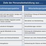 Personalentwicklung Excel Vorlage Schön Management Beratung