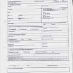 Personalfragebogen Pdf Vorlage Genial 19 Personalfragebogen Muster