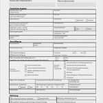 Personalfragebogen Vorlage Datev Best Of Kassel Steuer Downloads