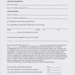 Personalfragebogen Vorlage Kostenlos Erstaunlich 19 Personalfragebogen Muster