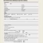 Personalfragebogen Vorlage Word Erstaunlich 19 Personalfragebogen Muster
