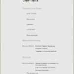 Personalfragebogen Vorlage Word Inspiration Personalfragebogen Vorlage Word Elegant Lebenslauf Muster