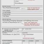 Personalfragebogen Vorlage Word Luxus Personalfragebogen Vorlage Word Angenehm 13