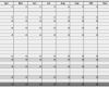 Personalkostenplanung Excel Vorlage Kostenlos Bewundernswert Excel Vorlage Personalkostenplanung Hanseatic Business
