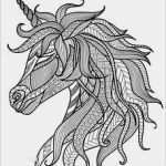 Personalstammdatenblatt Vorlage Word Luxus Gallery Of Auslagenabrechnung Praxisbedarf Shop Buchner