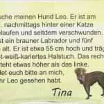 Personenbeschreibung Spanisch Vorlage Süß Einen Tiersteckbrief Verfassen – Sachunterricht Online Lernen