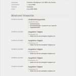 Persönlicher Lebenslauf Vorlage Best Of Lebenslaufvorlagen