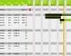 Persönlichkeitsprofil Erstellen Vorlage Bewundernswert Projektplan Excel