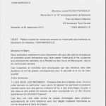 Petition Vorlage Word Best Of 13 Exemple Petition