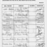 Petition Vorlage Word Erstaunlich 13 Exemple Petition