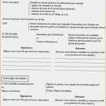 Petition Vorlage Word Hübsch 13 Exemple Petition