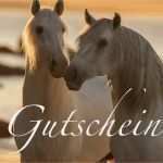 Pferde Gutschein Vorlage Großartig Gutscheine Karin Leuthardt Graphy