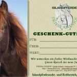 Pferde Gutschein Vorlage Wunderbar islandpferde Vom Frieslandhof