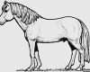 Pferde Scheren Muster Vorlagen Beste Malvorlagen Kostenlos Pferde Malvorlage Store