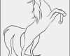 Pferde Scheren Muster Vorlagen Beste Pferd Vorlage Zum Ausdrucken