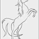 Pferde Scheren Muster Vorlagen Beste Pferd Vorlage Zum Ausdrucken