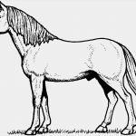 Pferde Scheren Muster Vorlagen Elegant Huebsches Pferd Ausmalbild & Malvorlage Tiere