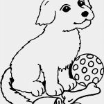 Pferde Scheren Muster Vorlagen Hübsch Ausmalbilder Für Erwachsene Line Ausmalen