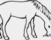 Pferde Scheren Muster Vorlagen Schön Grasendes Pferd Ausmalbild & Malvorlage Tiere