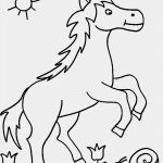 Pferde Scheren Muster Vorlagen Süß Ausmalbilder Pferde Im Schnee Ausmalbilder