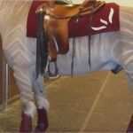 Pferde Scheren Muster Vorlagen Wunderbar Pferde Scheren Muster Vorlagen Papacfo