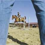 Pferdekaufvertrag Vorlage Gut Kaufvertrag Pferd Ein Kaufvertrag Für Pferde Bei Cavallo De