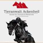 Pferdekaufvertrag Vorlage Wunderbar Kaufvertrag Pferd Pferdekauf Pferderecht Anwalt Anwalt Für