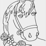 Pferdeohren Basteln Vorlage Großartig Kostenlose Ausmalbilder Und Malvorlagen Pferde Zum