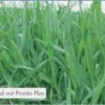 Pflanzenschutz Dokumentation Vorlage Weinbau Fabelhaft Pflanzenschutzmittel Für Getreide