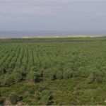 Pflanzenschutz Dokumentation Vorlage Weinbau Süß Weinbau Gironde Frankreich
