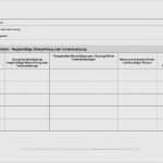 Pflanzenschutz Dokumentation Vorlage Weinbau Wunderbar Dokumentation Kindergarten Vorlagen Papacfo