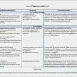 Pflegeplanung Leere Vorlage Bewundernswert Pflegeplanung Leere Vorlage Erstaunlich 1363