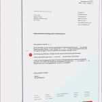 Pflegeplanung Leere Vorlage Einzigartig 14 Zweite Mahnung Vorlage