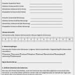 Pflegestandards Vorlagen Erstaunlich Musterformular Differenziertes assessment