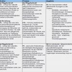 Pflegestandards Vorlagen Fabelhaft Expertenstandard „pflege Von Menschen Mit Chronischen