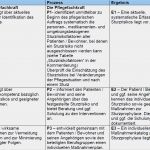 Pflegestandards Vorlagen Genial Expertenstandard Sturzprophylaxe In Der Pflege