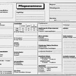 Pflegestandards Vorlagen Großartig Anamnese Anamnésia