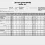 Pflegevisite Vorlage Beste Vorlagen – Meinpfleg Nst