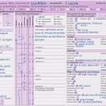 Pflegevisite Vorlage Cool Materialien Bei Pflege Zeit