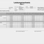 Pflegevisite Vorlage Cool Vorlagen Meinpflege Nst