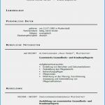 Pflegevisite Vorlage Einzigartig 16 Bewerbung Muster Ausbildung Krankenschwester