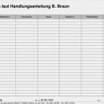 Pflegevisite Vorlage Elegant Vorlagen Meinpflege Nst