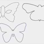 Pflegevisite Vorlage Fabelhaft Bastel Vorlage Schmetterlings Schablone