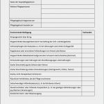 Pflegevollmacht Vorlage Cool Muster Von Einem Pfle Agebuch Nach Psg Ii