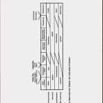 Pflegevollmacht Vorlage Erstaunlich Vorlage Zur Dokumentation Der Taglichen Arbeitszeit Eur