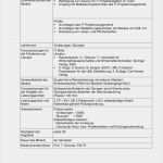 Pflichtenheft Vorlage Informatik Luxus 2