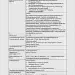 Pflichtenheft Vorlage Pdf Großartig 70 Elegant Pflichtenheft Vorlage Maschinenbau Abbildung