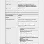 Pflichtenheft Vorlage Pdf Gut Stellenbeschreibung Vorlage Gratis Word Vorlage